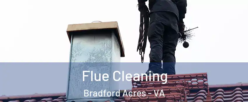 Flue Cleaning Bradford Acres - VA