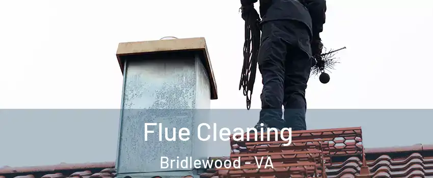 Flue Cleaning Bridlewood - VA