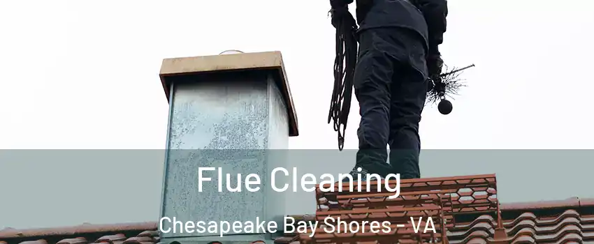 Flue Cleaning Chesapeake Bay Shores - VA