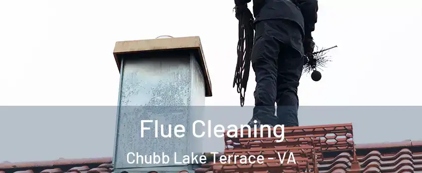 Flue Cleaning Chubb Lake Terrace - VA