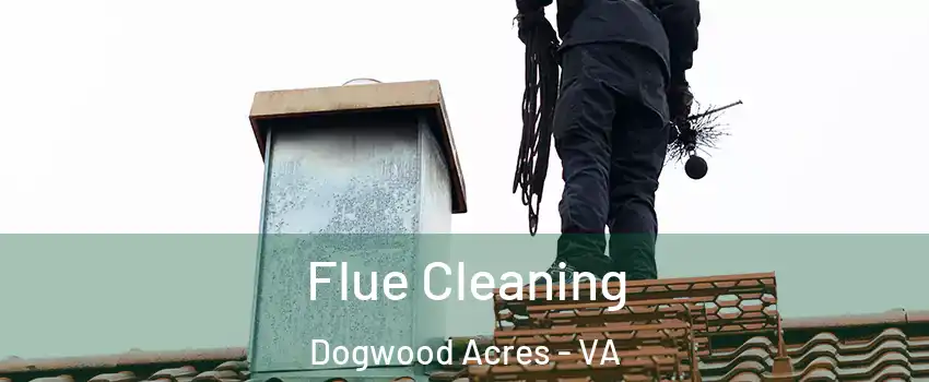 Flue Cleaning Dogwood Acres - VA