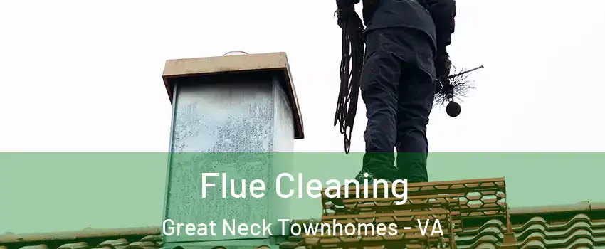 Flue Cleaning Great Neck Townhomes - VA