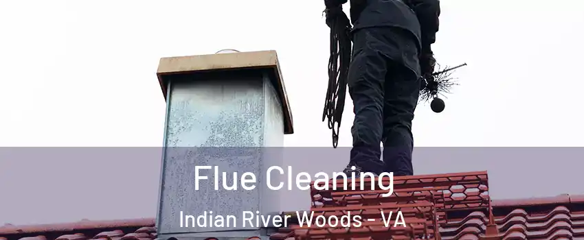 Flue Cleaning Indian River Woods - VA