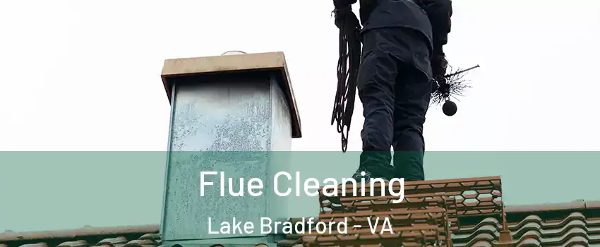 Flue Cleaning Lake Bradford - VA