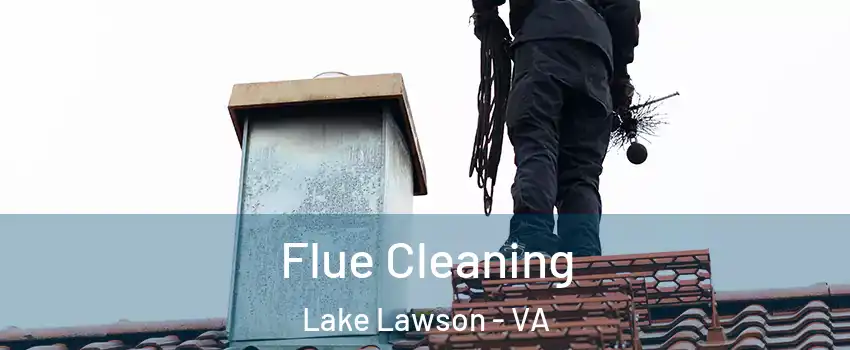Flue Cleaning Lake Lawson - VA