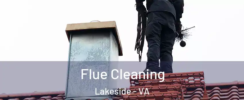 Flue Cleaning Lakeside - VA