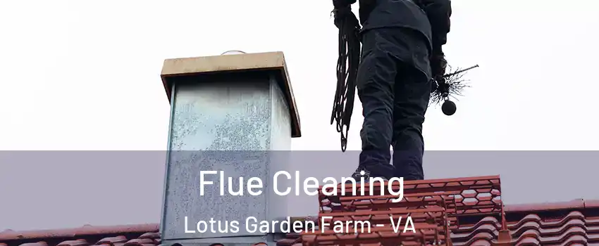 Flue Cleaning Lotus Garden Farm - VA