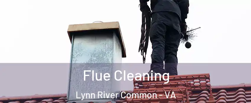 Flue Cleaning Lynn River Common - VA