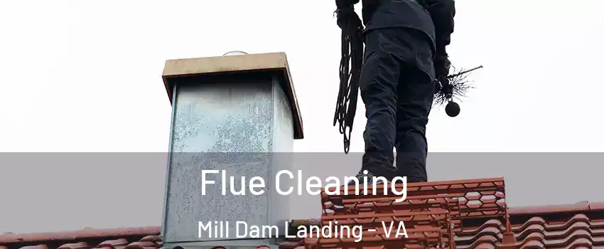 Flue Cleaning Mill Dam Landing - VA