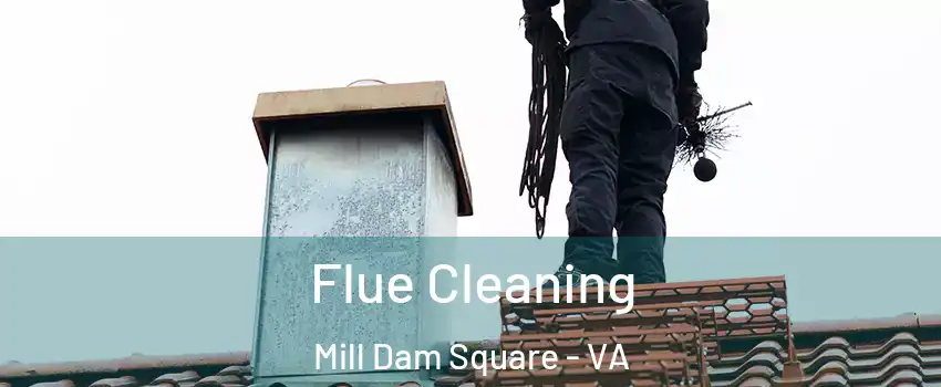 Flue Cleaning Mill Dam Square - VA