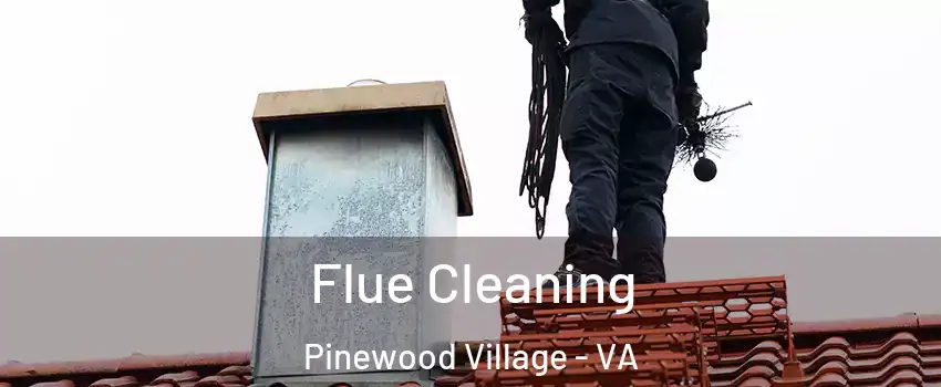 Flue Cleaning Pinewood Village - VA