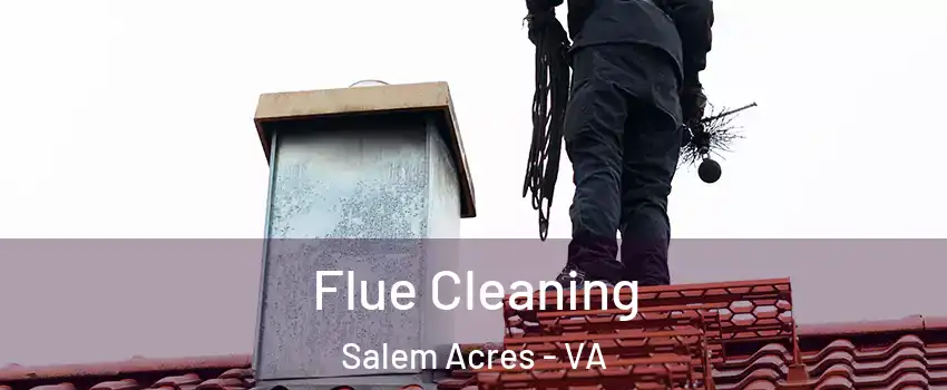 Flue Cleaning Salem Acres - VA