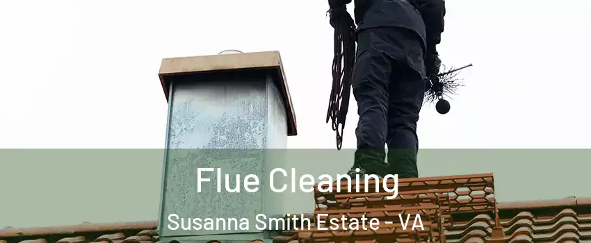 Flue Cleaning Susanna Smith Estate - VA