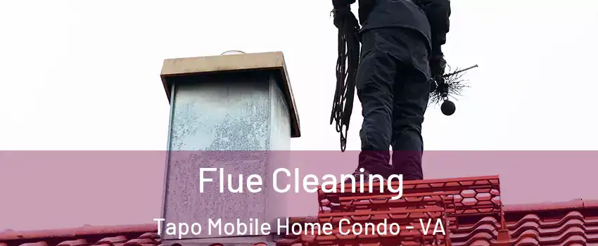 Flue Cleaning Tapo Mobile Home Condo - VA