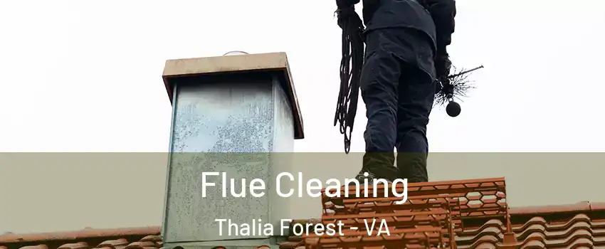 Flue Cleaning Thalia Forest - VA