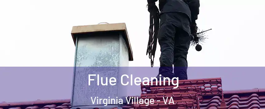 Flue Cleaning Virginia Village - VA