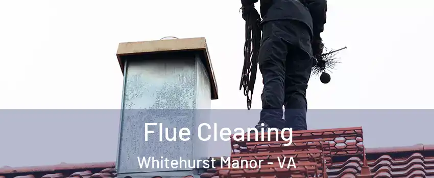 Flue Cleaning Whitehurst Manor - VA