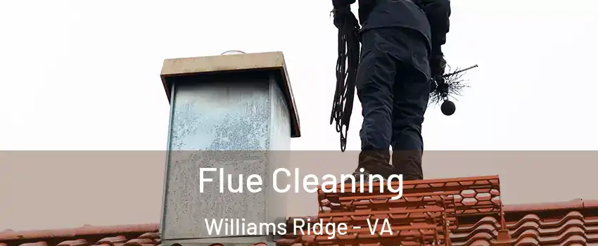 Flue Cleaning Williams Ridge - VA