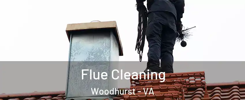 Flue Cleaning Woodhurst - VA