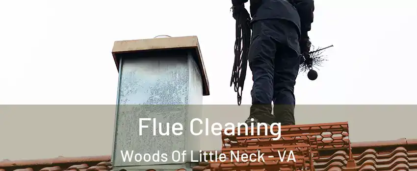 Flue Cleaning Woods Of Little Neck - VA