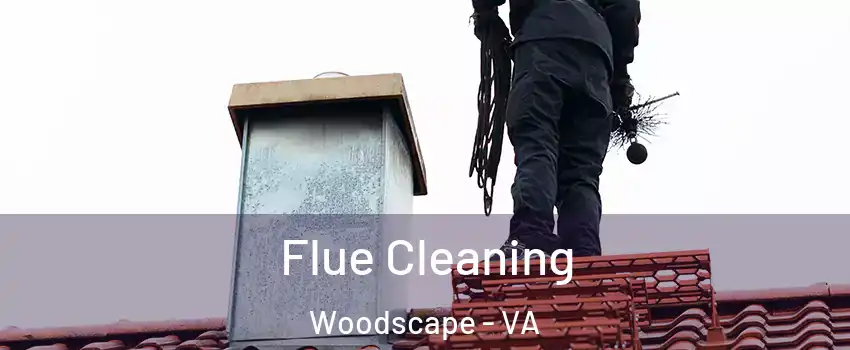 Flue Cleaning Woodscape - VA