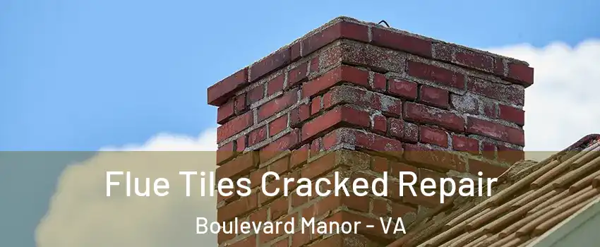 Flue Tiles Cracked Repair Boulevard Manor - VA