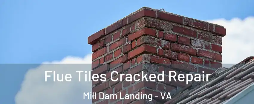 Flue Tiles Cracked Repair Mill Dam Landing - VA