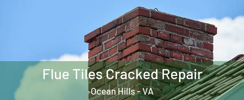 Flue Tiles Cracked Repair Ocean Hills - VA