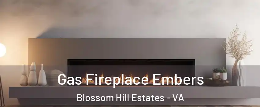 Gas Fireplace Embers Blossom Hill Estates - VA