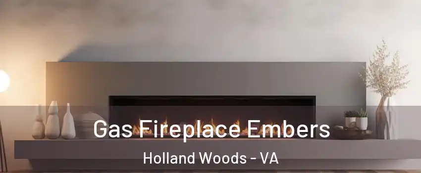 Gas Fireplace Embers Holland Woods - VA