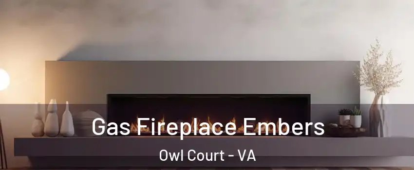 Gas Fireplace Embers Owl Court - VA