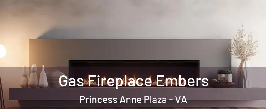 Gas Fireplace Embers Princess Anne Plaza - VA
