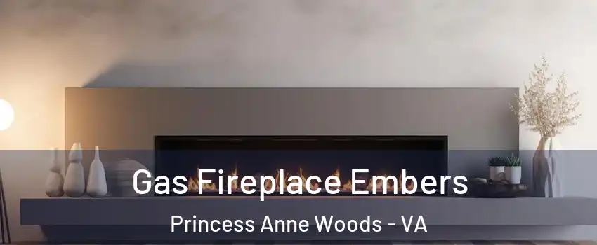 Gas Fireplace Embers Princess Anne Woods - VA