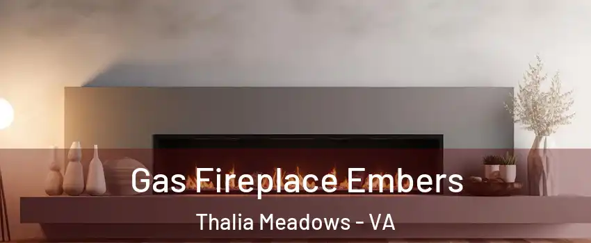 Gas Fireplace Embers Thalia Meadows - VA