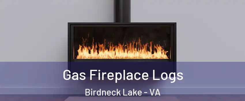 Gas Fireplace Logs Birdneck Lake - VA