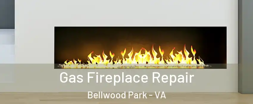Gas Fireplace Repair Bellwood Park - VA