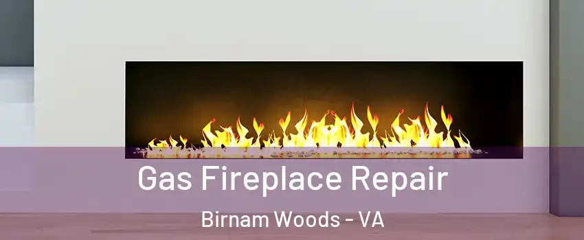 Gas Fireplace Repair Birnam Woods - VA