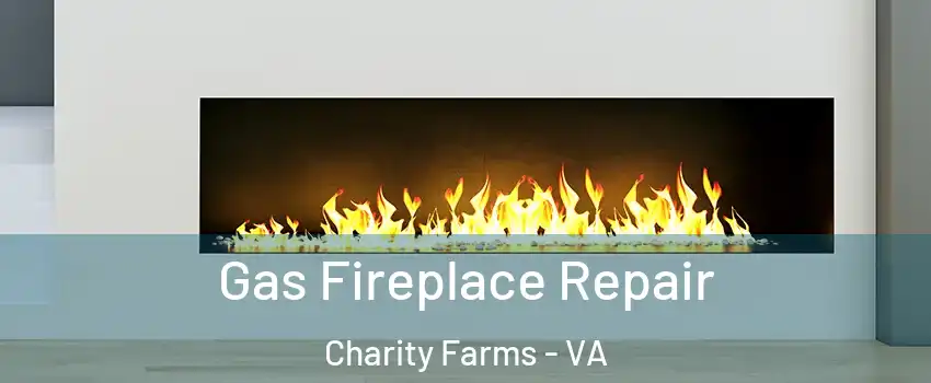 Gas Fireplace Repair Charity Farms - VA