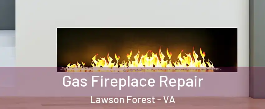 Gas Fireplace Repair Lawson Forest - VA