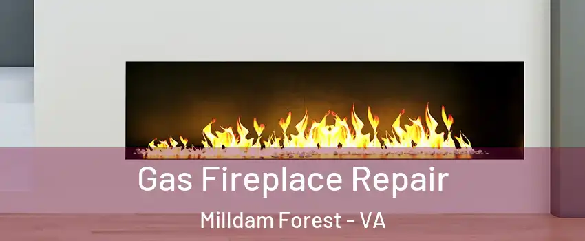 Gas Fireplace Repair Milldam Forest - VA
