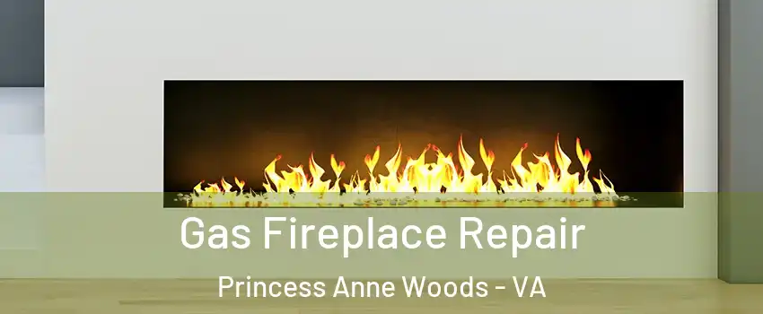 Gas Fireplace Repair Princess Anne Woods - VA