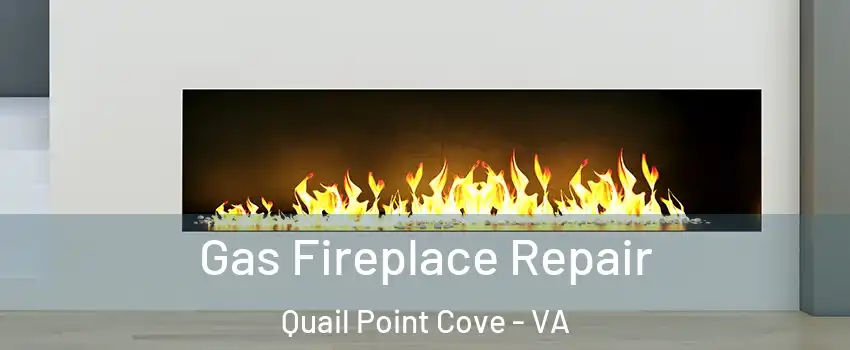 Gas Fireplace Repair Quail Point Cove - VA