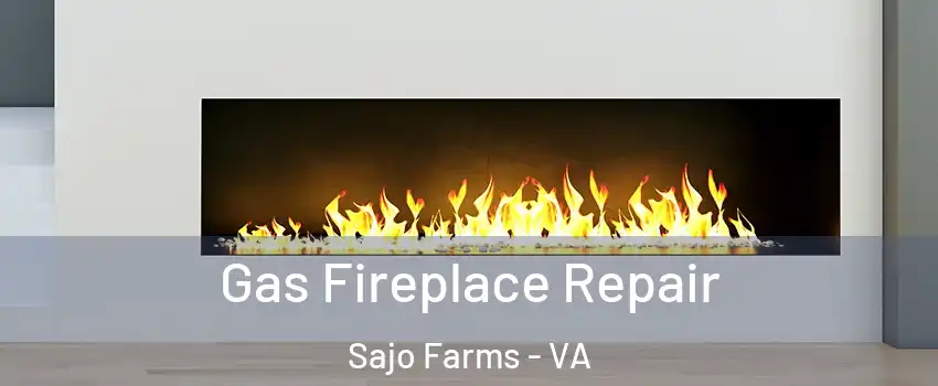 Gas Fireplace Repair Sajo Farms - VA