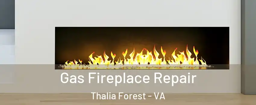 Gas Fireplace Repair Thalia Forest - VA