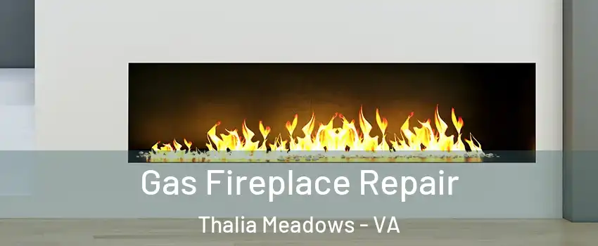 Gas Fireplace Repair Thalia Meadows - VA