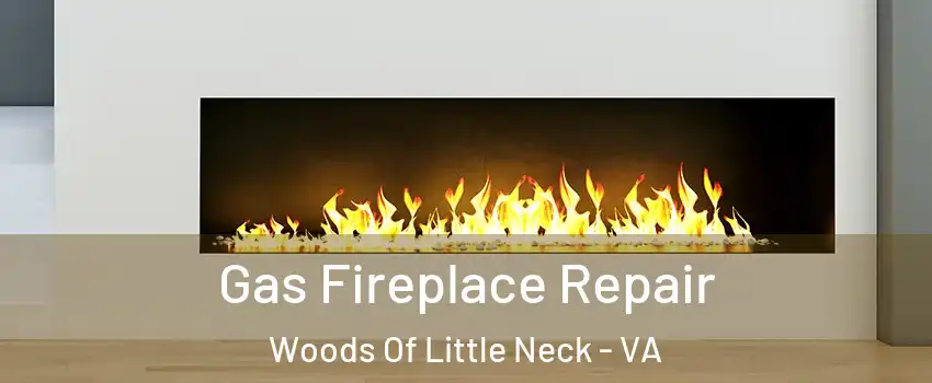 Gas Fireplace Repair Woods Of Little Neck - VA