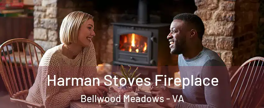 Harman Stoves Fireplace Bellwood Meadows - VA