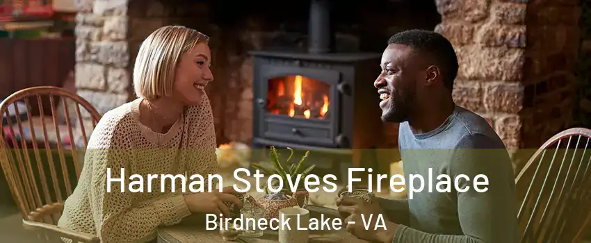 Harman Stoves Fireplace Birdneck Lake - VA