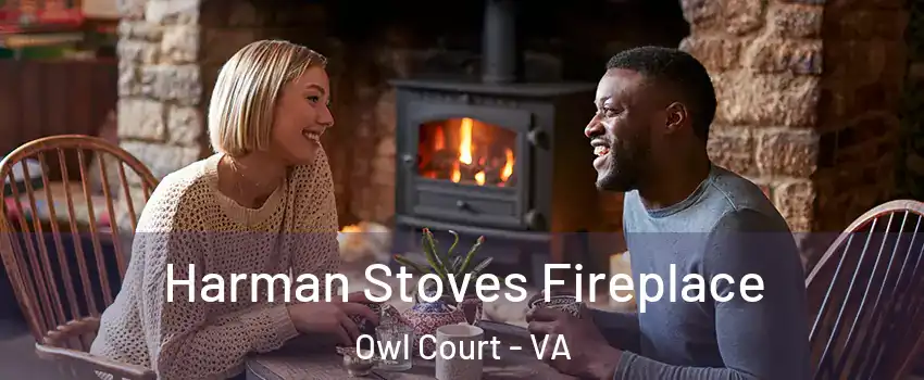 Harman Stoves Fireplace Owl Court - VA