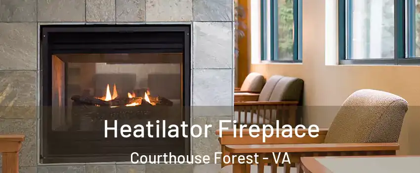Heatilator Fireplace Courthouse Forest - VA